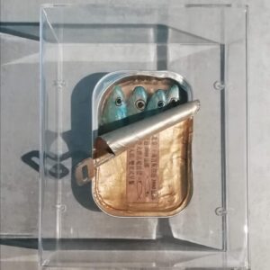 Stefano Cardaropoli Alici, argilla cruda,resina, materiali vari, 15x22cm, 2021